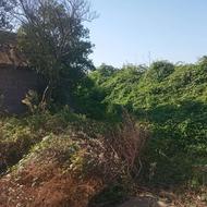 فروش زمین کشاورزی 3140 متر در جاده نالکیاشر