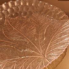 دیس میوه خوری