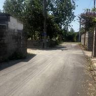 265 متر زمین وافع در پلتکه کوچه ترنج