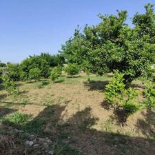 فروش زمین مسکونی 500 متری در تلو باغ