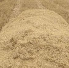 کاه درجه یک کردستان