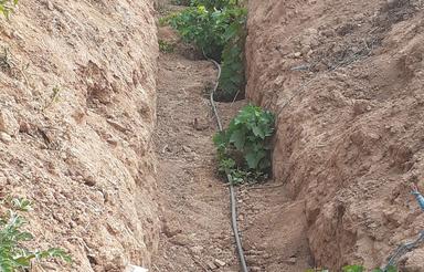 1900 متر باغ انگور دراسفراین