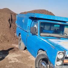 کود گاوی خشک و پوسیده