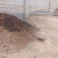 کود حیوانی خشک پودری