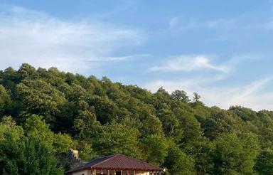 ویلای تمام چوب