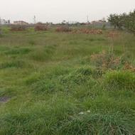 زمین باغی واقع در ساری روستای گرجی