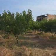 500متر زمین مسکونی در روستای ولاشد