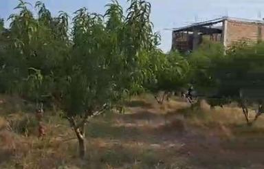 500متر زمین مسکونی در روستای ولاشد