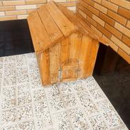 لانه سگ و گربه