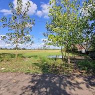 فروش زمین 462 متر سیاهکل