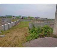 زمین مسکونی 300 متری با بر 10 متر جاده چمخاله