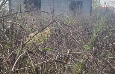 فروش ویلا 600 متر در چلک