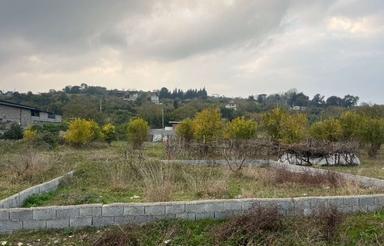 فروش زمین قیمت کاسبی در آهی دشت