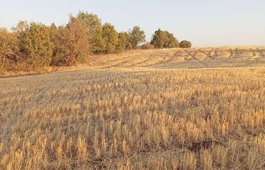 فروش زمین کشاورزی