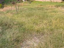 فروش زمین مسکونی 420 متر در خیابان جمهوری در شیپور