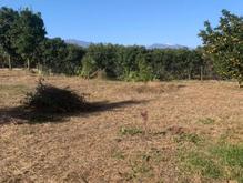 فروش زمین کشاورزی 4000 متر در قلعه گردن در شیپور