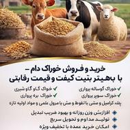 فروش انواع خوراک دام و طیور