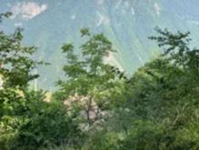 فروش زمین مسکونی 300 متر در جاده دو هزار در شیپور