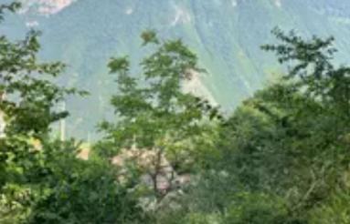 فروش زمین مسکونی 300 متر در جاده دو هزار