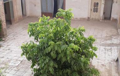 خانه ویلایی در روستا سوران بخش کرون