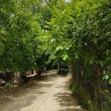 560متر باغ آباد در باغ شهر کیلان دماوند