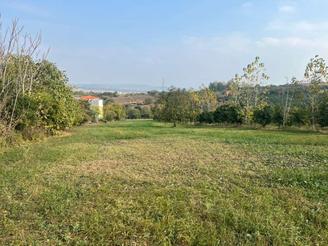 زمین 2300 متر یک جا