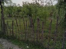 زمین 600 متر نامه بنیاد مسکن سنگر جوکولبندان(3603) در شیپور