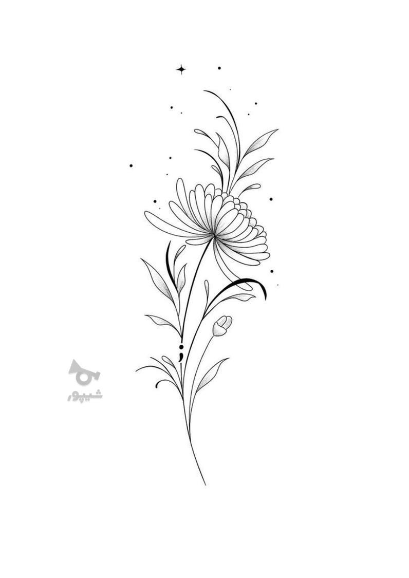 تتوبدن خانمها