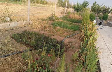 معاوضه باغ ویلا با زمین مسکونی یا ماشین