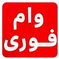 وام فوری با سفته و چک بدون دوندگی