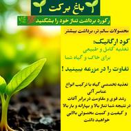 کود ارگانیک خالص تضمین رشد طبیعی و تقویت خاک