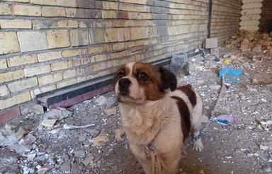 آپارتمان نیمه کاره