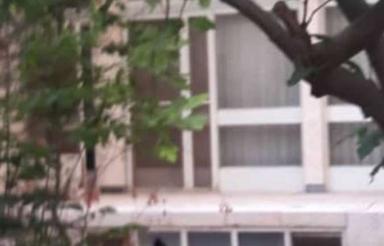 خانه 2 طبقه 4باغ عباسی باصفا وباروحیه کوچه اختصاصی