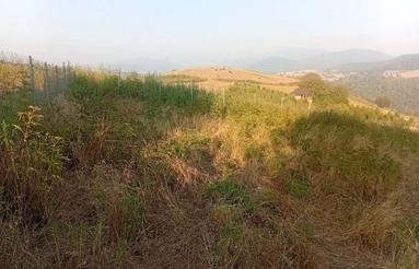 کیاسر روستای کرسام