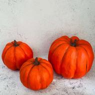 ماکت کدو.تنبل مقاوم