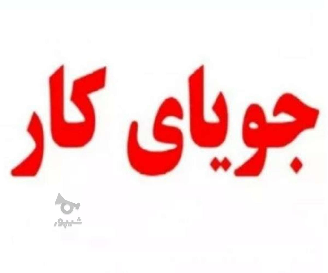 جویای کار هستم - محمد