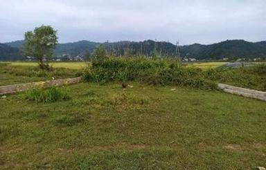 100 متر زمین بر جاده اصلی استارا تالش