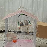 یک جفت طوطی برزیلی