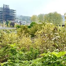 فروش زمین مسکونی 385 متر در نوشهر با ویو کامل جنگل و دریا