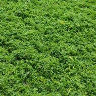 نظافت منازل صفر بازسازی شده مبله و محیط اداری