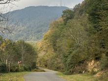 فروش 2600 متر زمین باغی اطاقور در شیپور