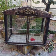 قفس پرندگان