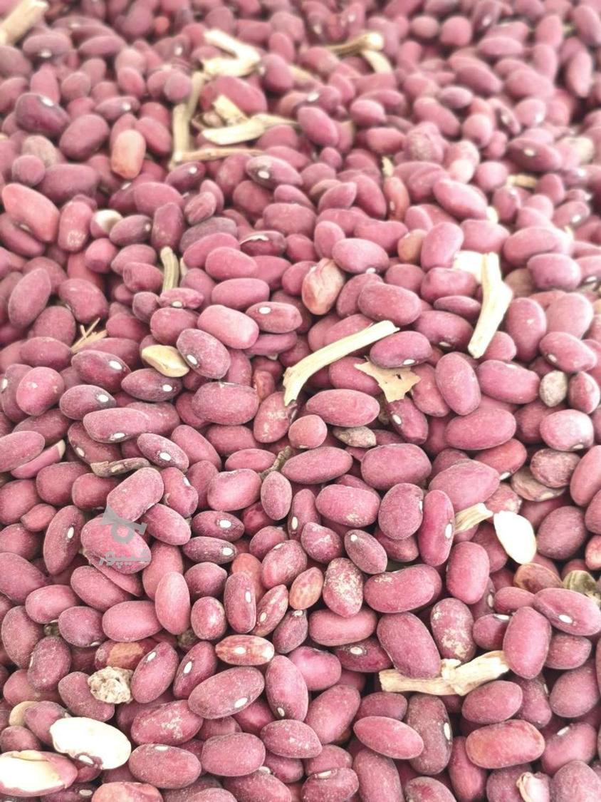 نخود سفید 3تن لوبیا 500کیلو فروش نقدی به قیمت روز