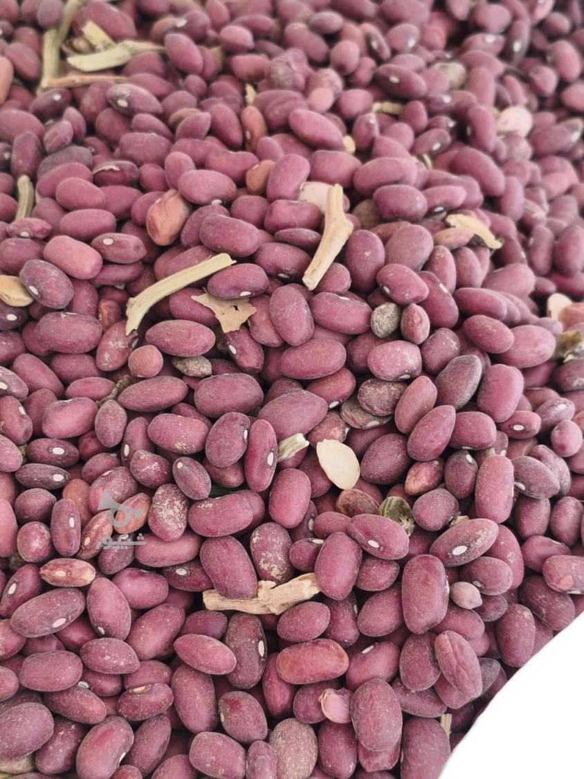 نخود سفید 3تن لوبیا 500کیلو فروش نقدی به قیمت روز