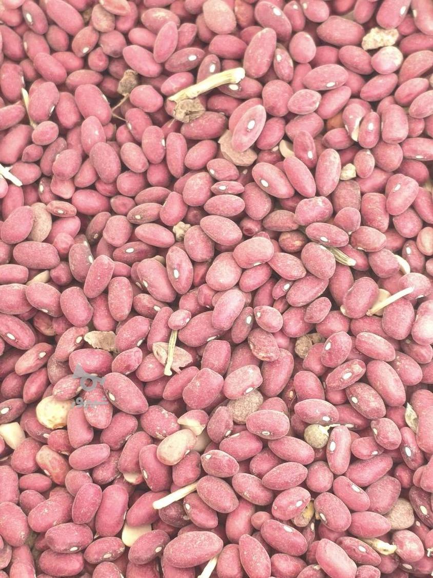 نخود سفید 3تن لوبیا 500کیلو فروش نقدی به قیمت روز