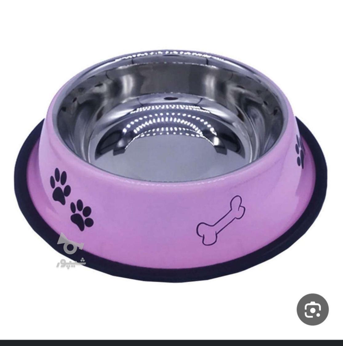 دنبال کار پاره وقت هستم - tina