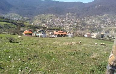 فروش زمین مسکونی در لاویج