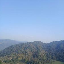 فروش زمین 350 متر در کالیکلا