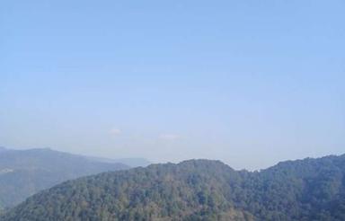 فروش زمین 350 متر در کالیکلا