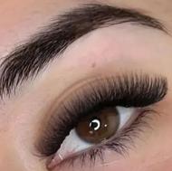 آفویژهاکستنشنحرفهای